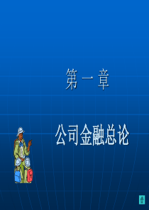 公司金融第章