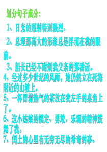 《中考语文复习划分句子成分》ppt课件