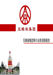 五粮液集团审计业务流程报告