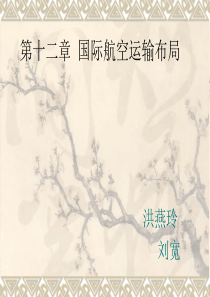 第12章国际航空运输布局