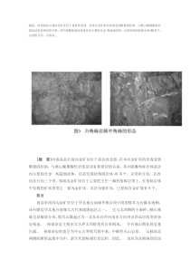 河南嵩县石盘沟金矿区隐爆角砾岩体含矿性研究