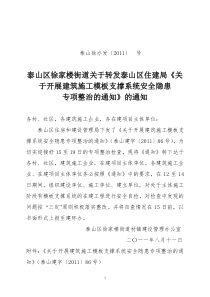 泰山区住建局模板支撑专项整治方案