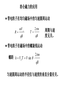 洛仑磁力的应用PP