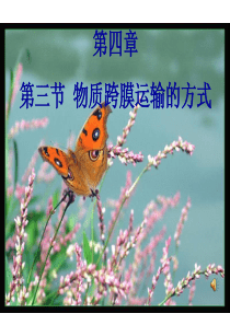 第三节物质跨膜运输的方式