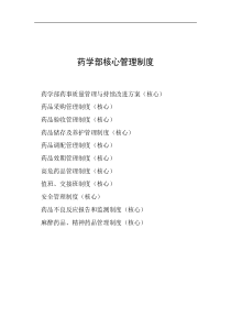 核心工作管理制度