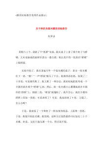 桥的实验报告优秀作品展示