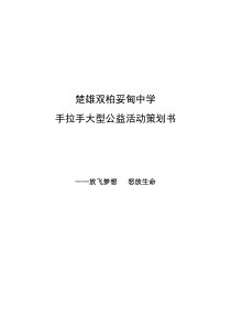 楚雄双柏妥甸中学手拉手大型公益活动策划书1128