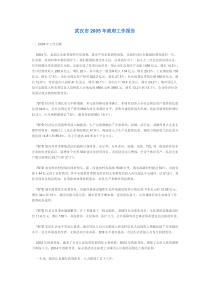 武汉市2005年政府工作报告