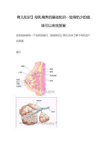 母乳喂养的基础知识