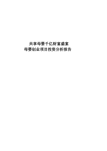 母婴连锁创业项目投资分析报告书