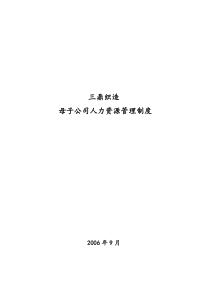 母子公司人力资源管理制度