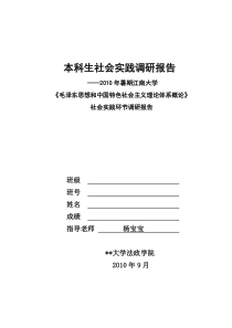 毛概暑期实践报告建模体验报告