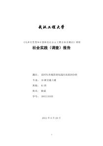 毛概暑期社会实践报告1