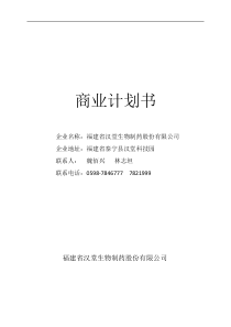 汉堂商业计划书