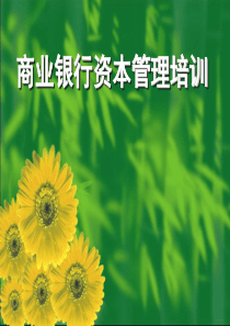 商业银行资本管理培训