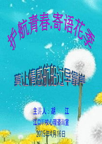 护航青春寄语花季课件之早恋篇