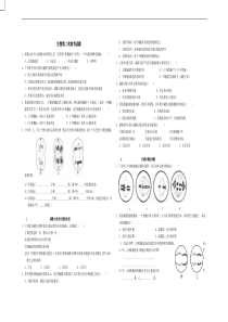 有丝分裂与减数分裂试题
