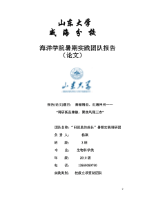 有关陕西省凤翔县辣椒产业的发展前景