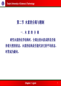 木素的分离与精制