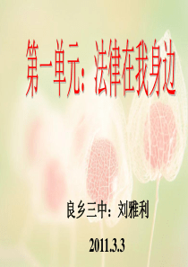 推开法律之门ppt政治初二下.