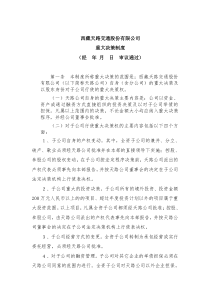 西藏天路交通股份有限公司重大决策制度