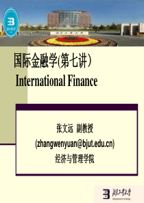 国际金融学-7