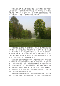 板栗的营养价值和药用价值
