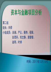 国际金融资本与金融项目分析