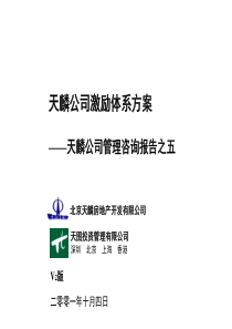 某某公司激励体系方案