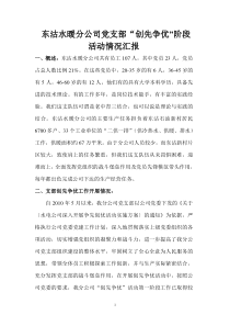 某水暖分公司党支部争先创优活动总结
