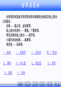 教案下篇6_全草类药材