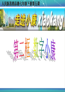 数字小康课件.