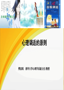 心理调试的基本原则与方法.