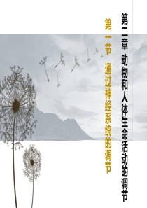 必修3-21通过神经系统的调节(文科)