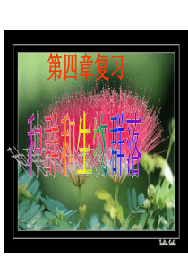 必修三第4章种群与生物群落复习课件.