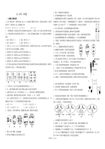 必修二生物试题
