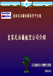 造访尼泊尔的最佳空中交通
