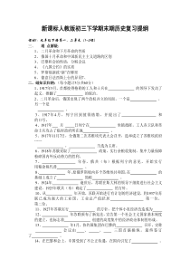 新课标人教版初三下学期末期历史复习提纲