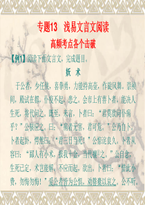新课标高考语文复习必备专题13