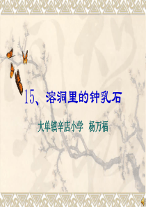 科学课件溶洞里的钟乳石