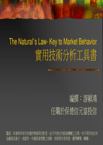 实用技术分析工具书-国际金融版