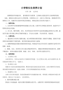 小学特长生培养计划