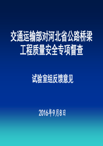 河北督查反馈意见-试验室组