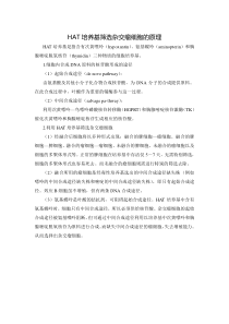 HAT培养基筛选杂交瘤细胞的原理