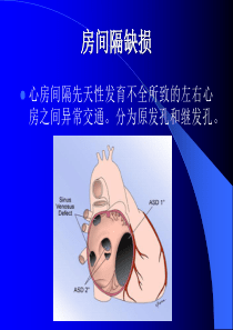 房缺自主学习刘闯.