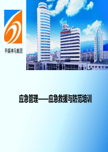 应急管理应急救援与应急防范