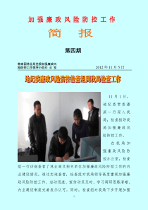 廉政风险防控简报