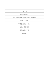 我国国有商业银行核心竞争力培育研究