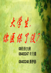 我看医疗保险