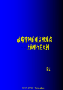 战略管理的重点和难点-上海银行的案例
